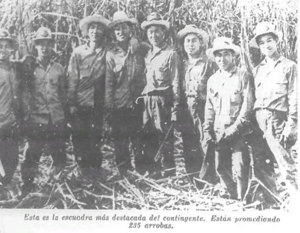 brigada jinetes de chullima, de la república de corea, durante la zafra de los diez millones 1970